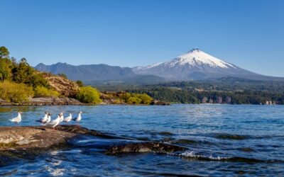 Contraloría toma razón de plan de descontaminación hídrica para lago Villarrica