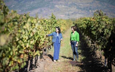 Mujeres transforman el mundo del vino chileno y su forma de vivirlo