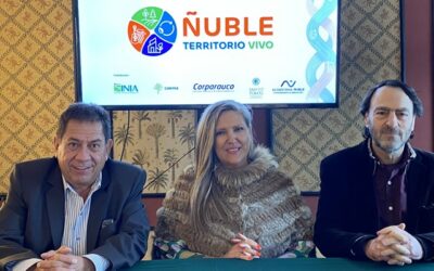 “Ñuble, Territorio Vivo”: Expertos aportaron claves estratégicas para proyectar la innovación y el desarrollo regional