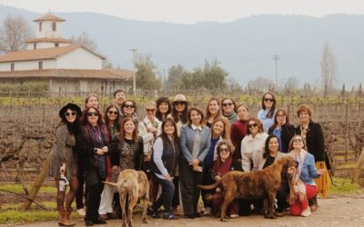 Nominaciones a 4° Concurso “Mujeres en Turismo que Cambian el Mundo”