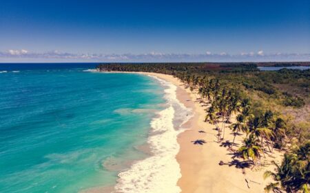 COCHA Travel Insights COCHA Travel Insights
