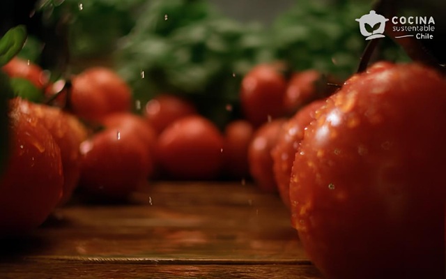 Gastronomía chilena avanza hacia un estándar común de sustentabilidad
