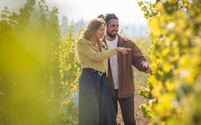 Chile es mucho más que vino: una nueva vitrina invita a descubrir sus valles